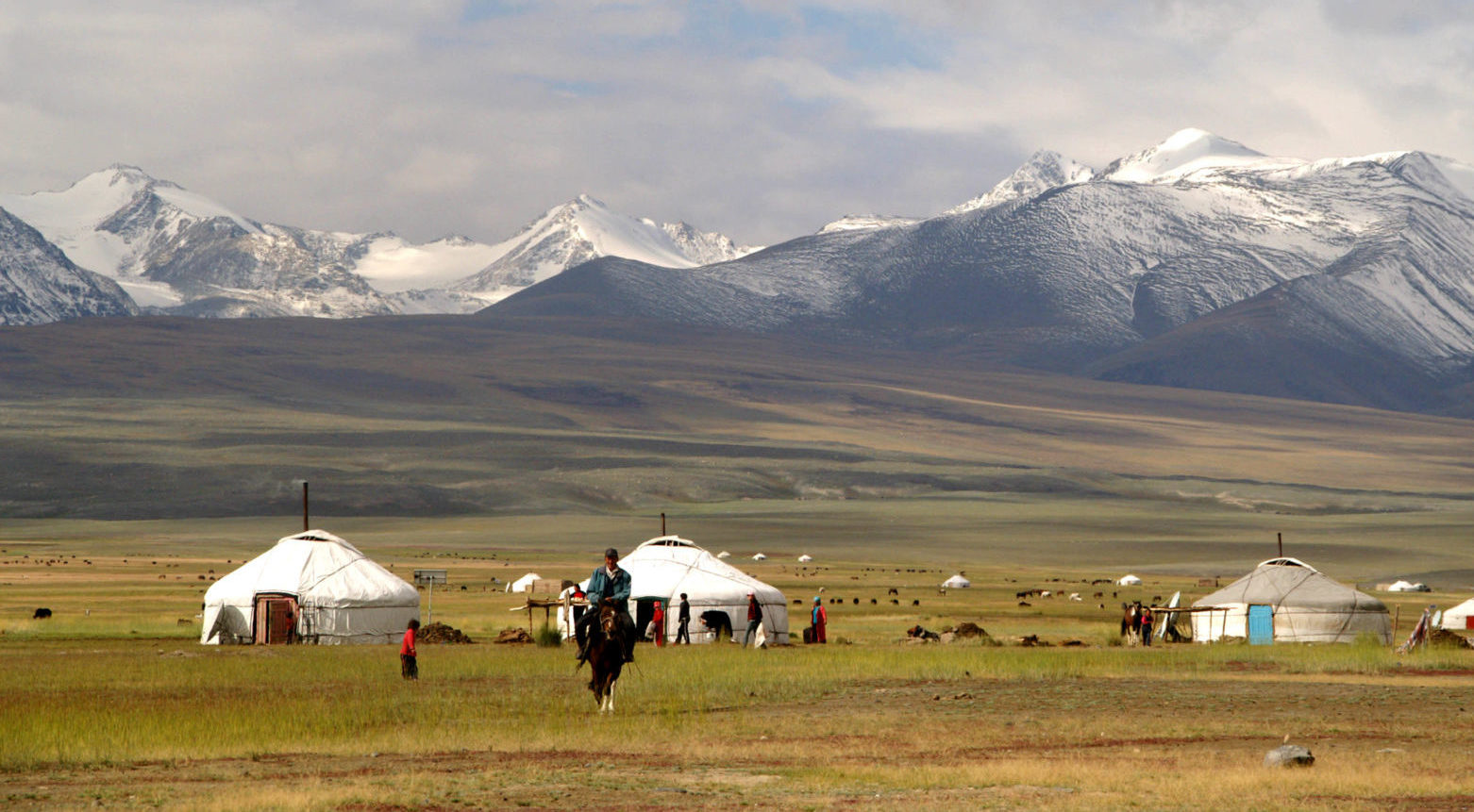 mongolia tourist company