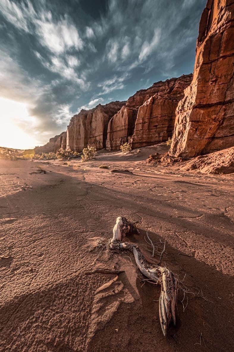 gobi desert tours