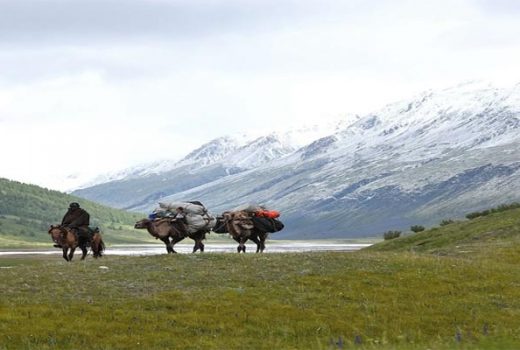 Trekking in Altai Tavan bogd