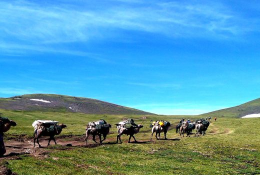 Trekking in Altai Tavan bogd national park