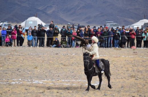 The eagle festival The eagle festival