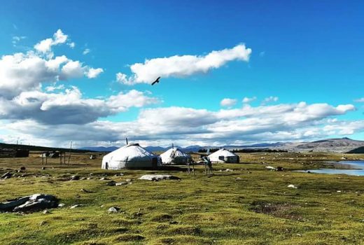 Tailor made tour to Mongolia