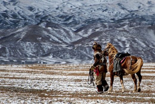 Horse training in Mongolia